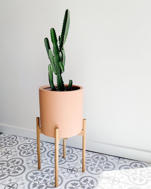 Artisanal Cylinder Planter w/ White oak stand