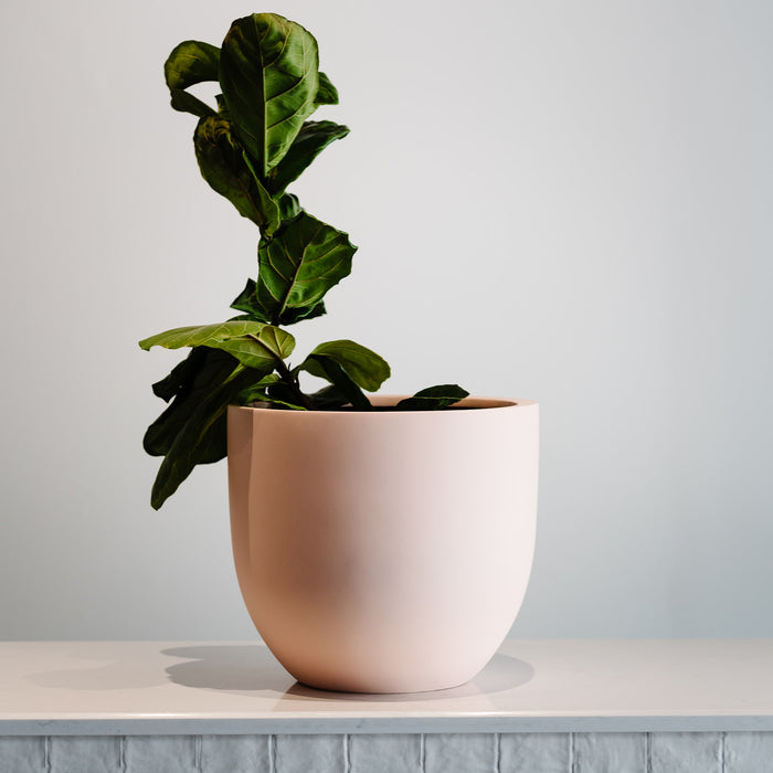 Matte blush classic round planter