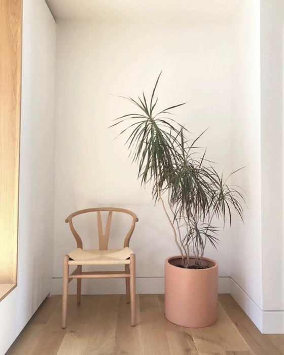 Artisanal Cylinder Planter w/ White oak stand