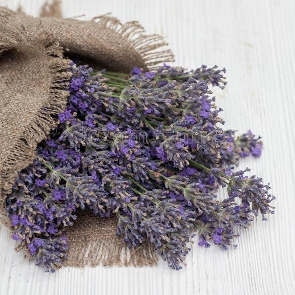 Lavende Sachet